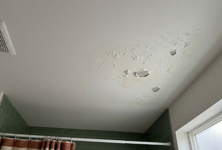 common paint problems